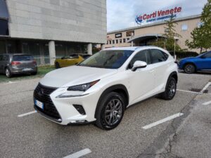 LEXUS NX 1ª serie NX Hybrid 4WD Premium