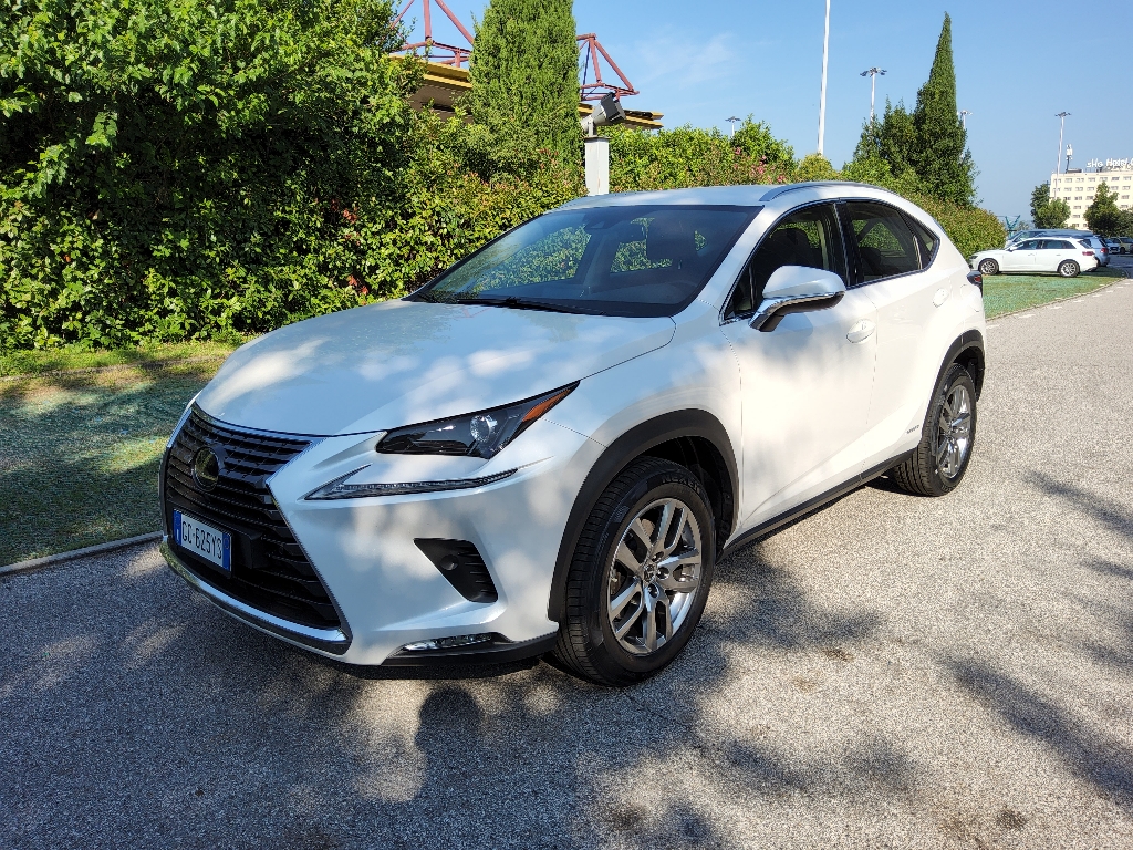 LEXUS NX 1ª serie NX Hybrid 4WD Premium - 1