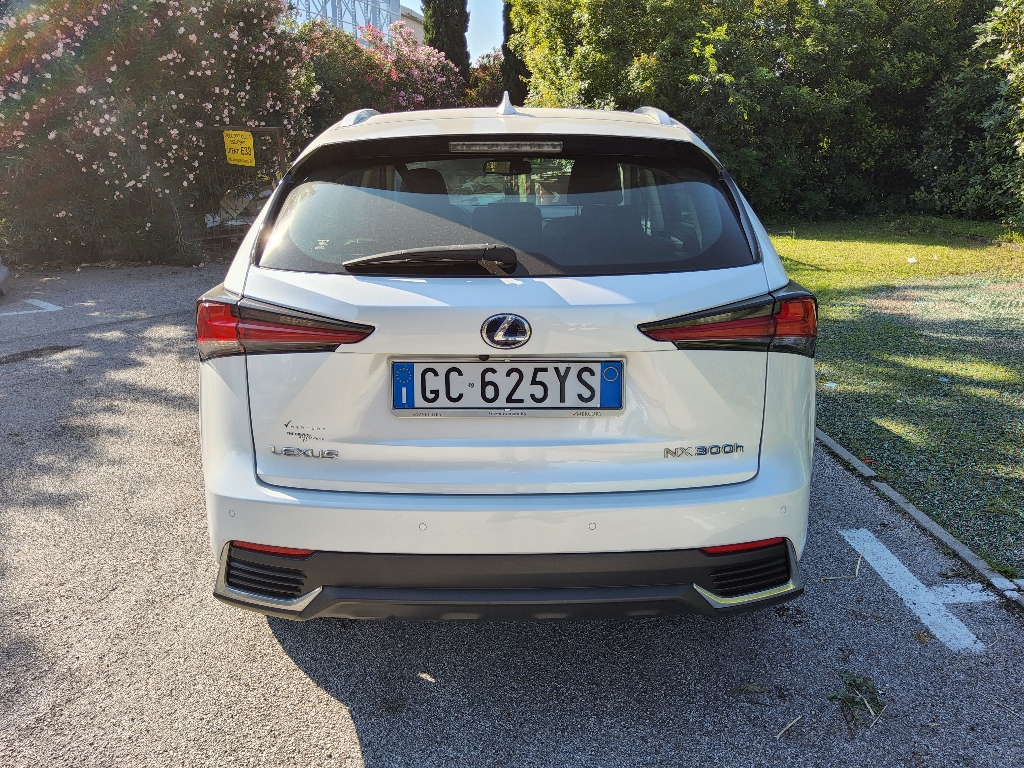 LEXUS NX 1ª serie NX Hybrid 4WD Premium - 3